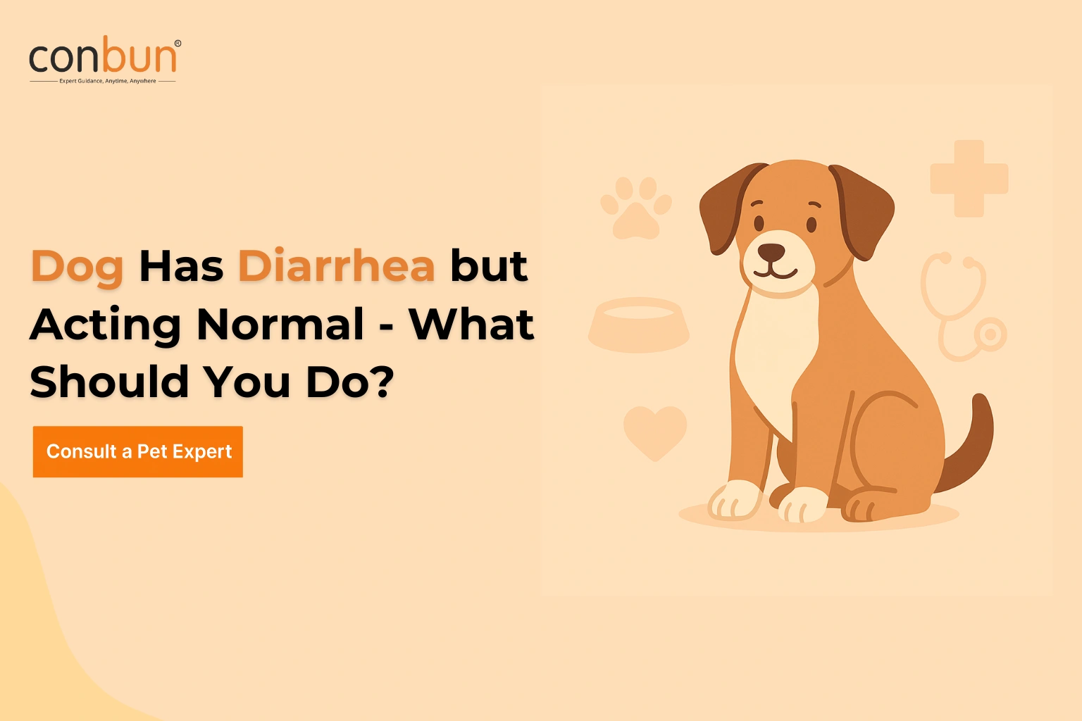Dog Has Diarrhea but Acting Normal — What Should You Do?